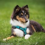 _DSC7915