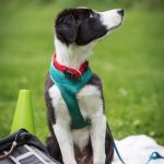 _DSC7919