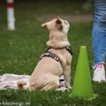 _DSC7938